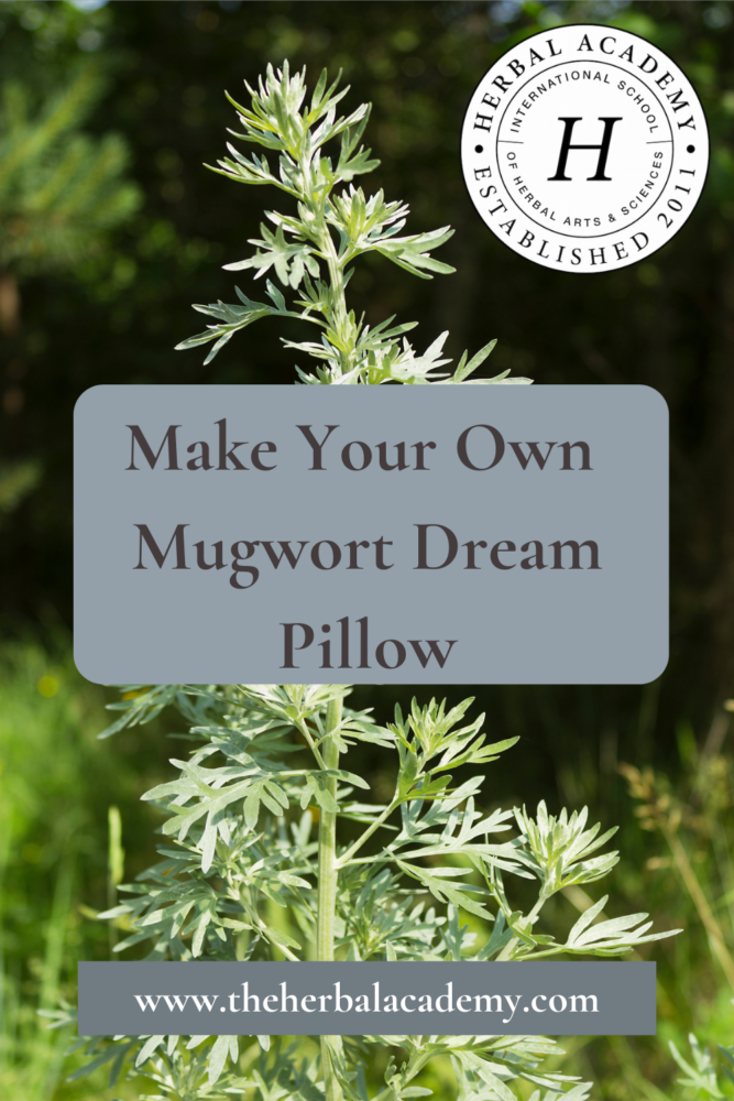 Mugwort Dream Pillow for Natural Sleep Aid Herbal Academy