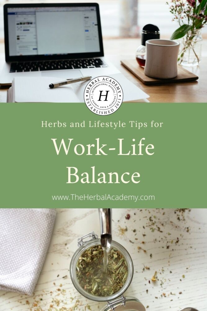 Herbs and Lifestyle Tips for Work-Life Balance – Herbal Academy
