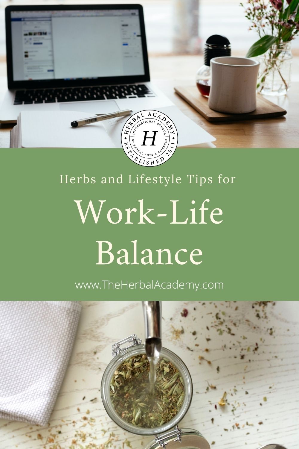 Herbs and Lifestyle Tips for Work-Life Balance | Herbal Academy | Living in challenging times can cause long-term wear and tear on the body. Here are creative solutions to ensure a healthy work-life balance!