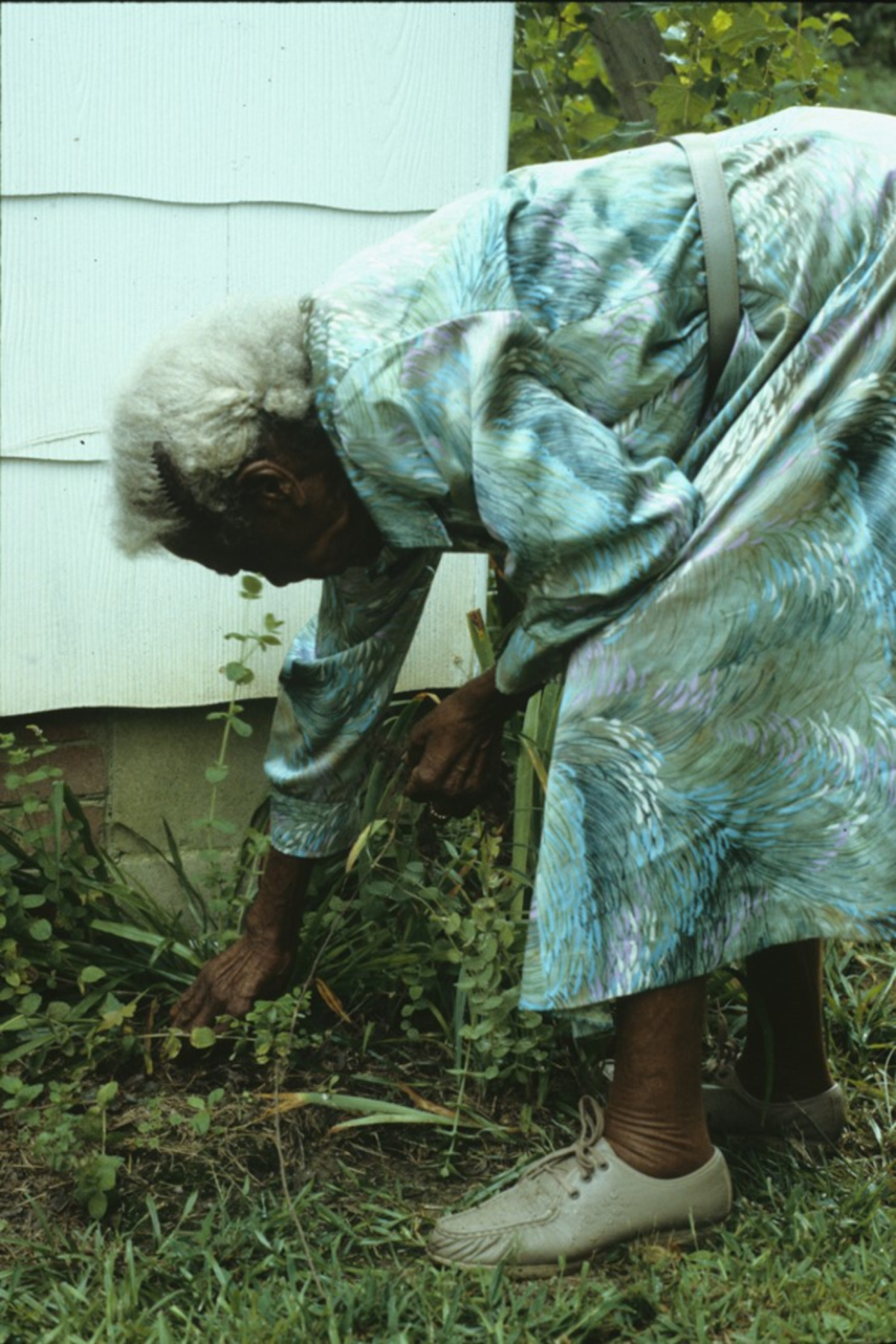 Emma Dupree bending over to gather herbs