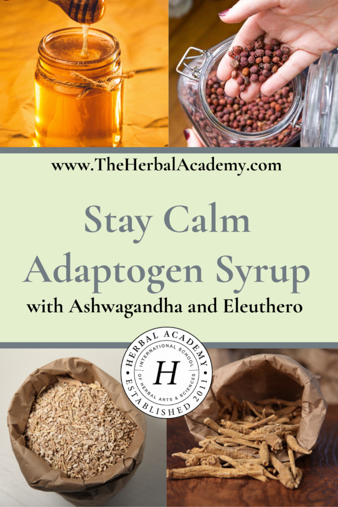 Stay Calm Adaptogen Syrup with Ashwagandha and Eleuthero | Herbal Academy | Pintrest graphic