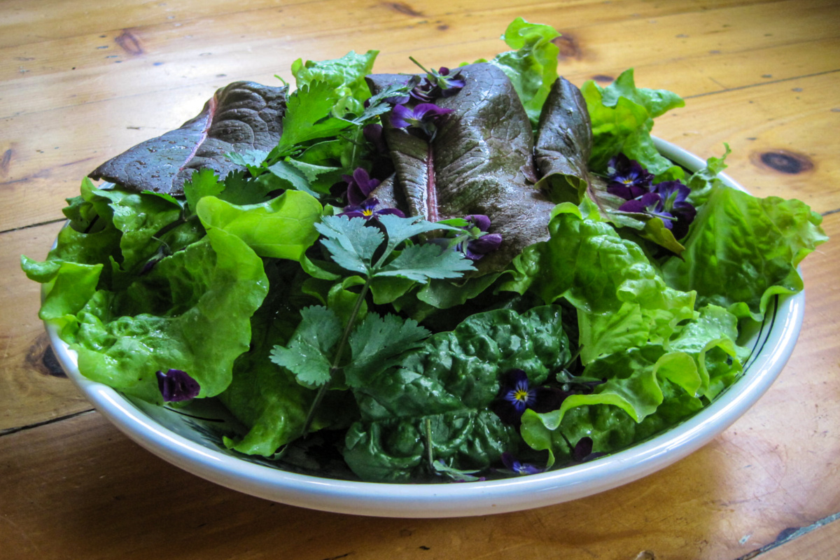 plate of salad greens sitting on a table