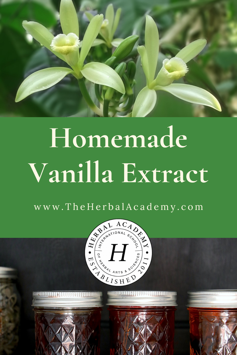 Homemade Vanilla Extract | Herbal Academy | Homemade vanilla extract adds its perfumed, complex flavor to hot and cold drinks, baked goods, confections, smoothies, yogurt, and more.