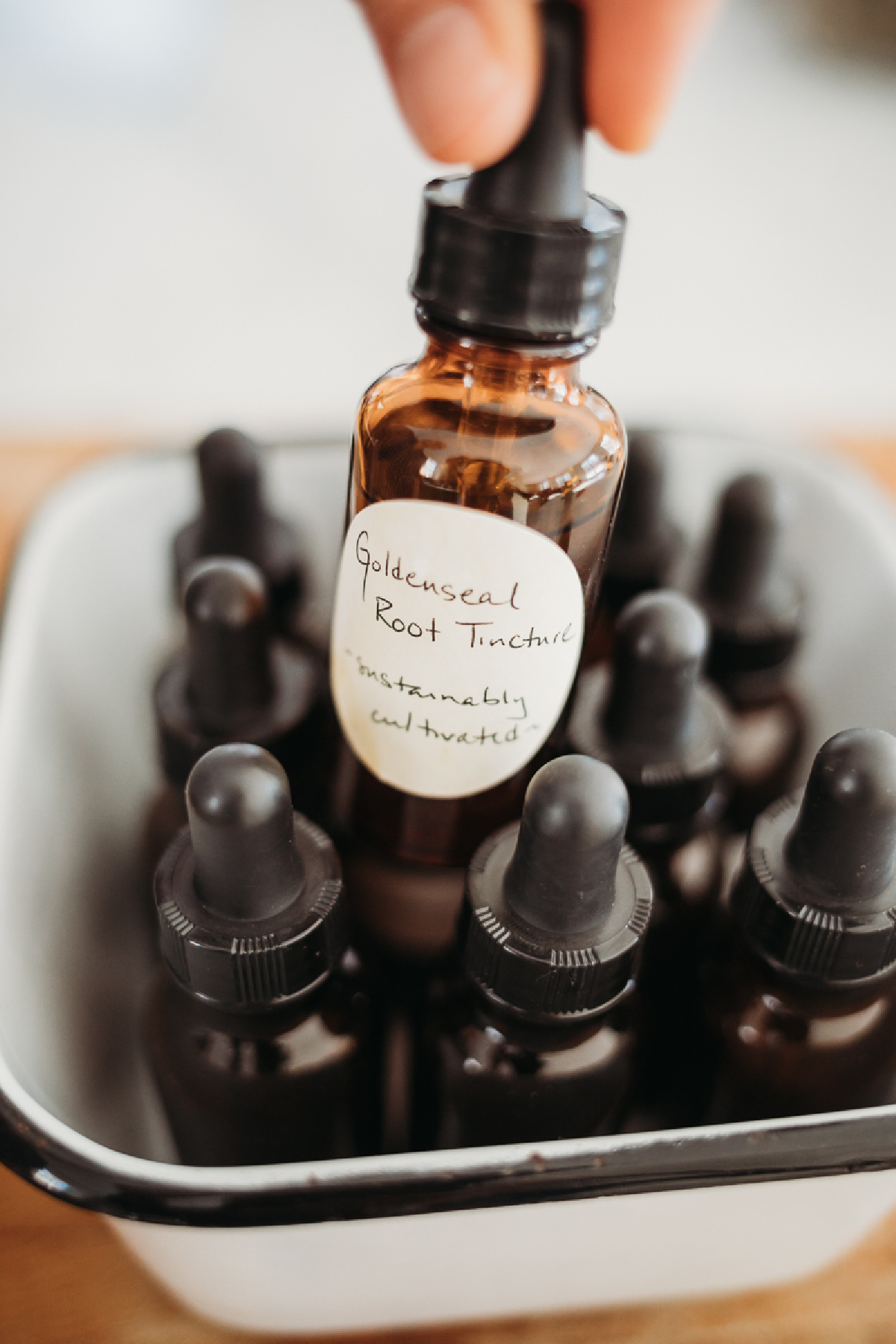 Goldenseal root tincture