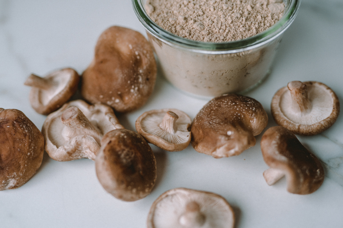 powdered shiitake mushrooms in a glass bowl with shiitake mushrooms on the table next to it