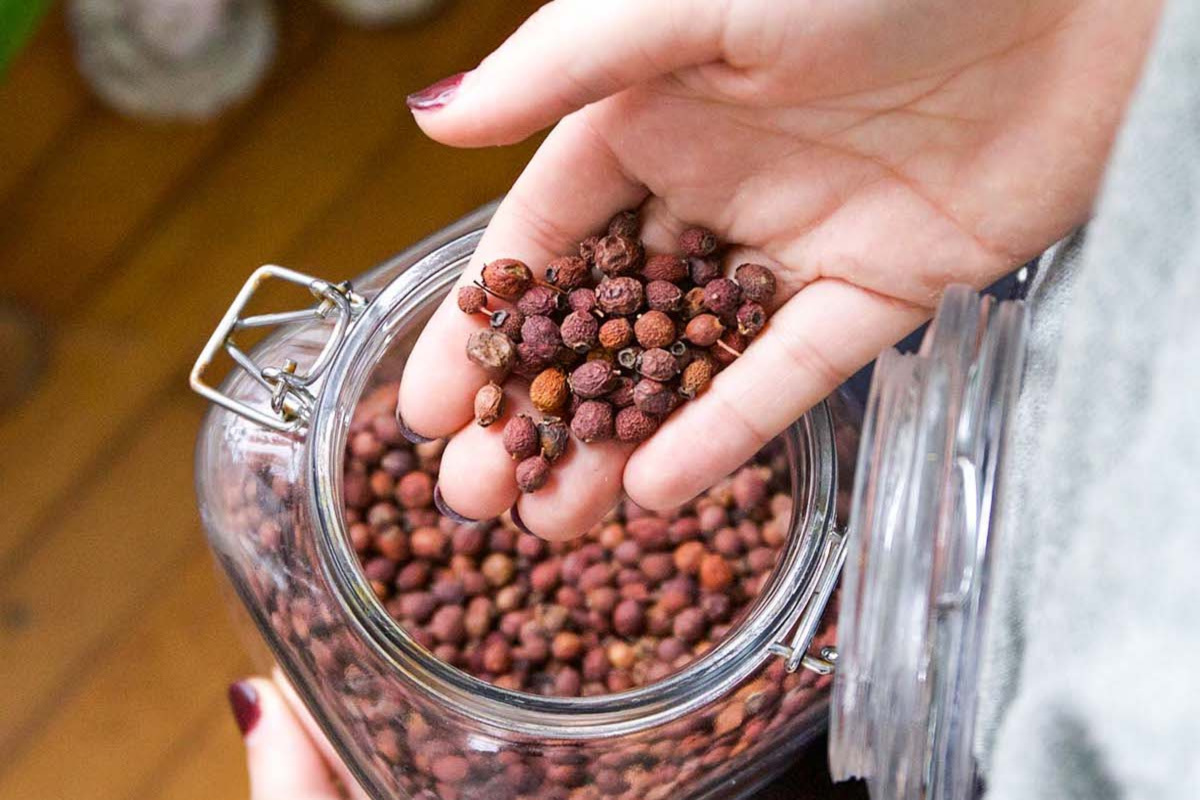 hand holding hawthorn berries over a jar