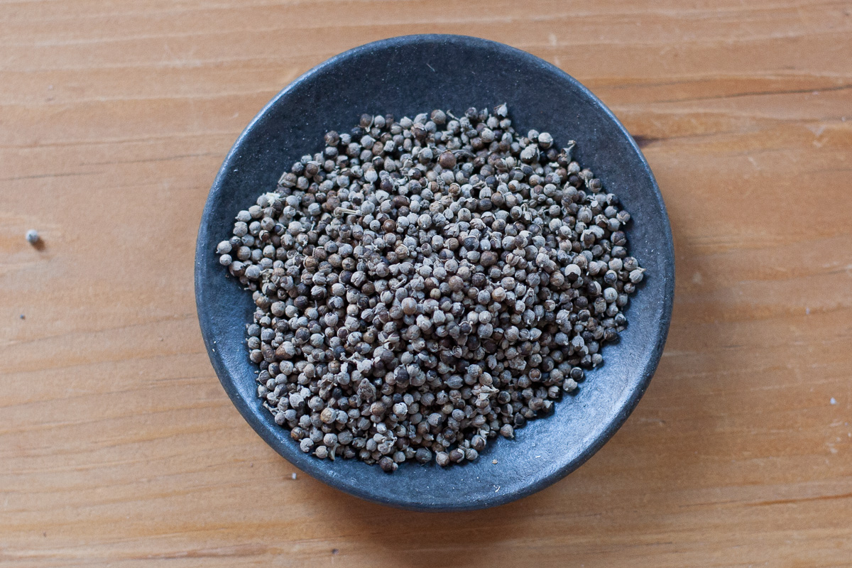 Chasteberries in a bowl ready for seed soaking