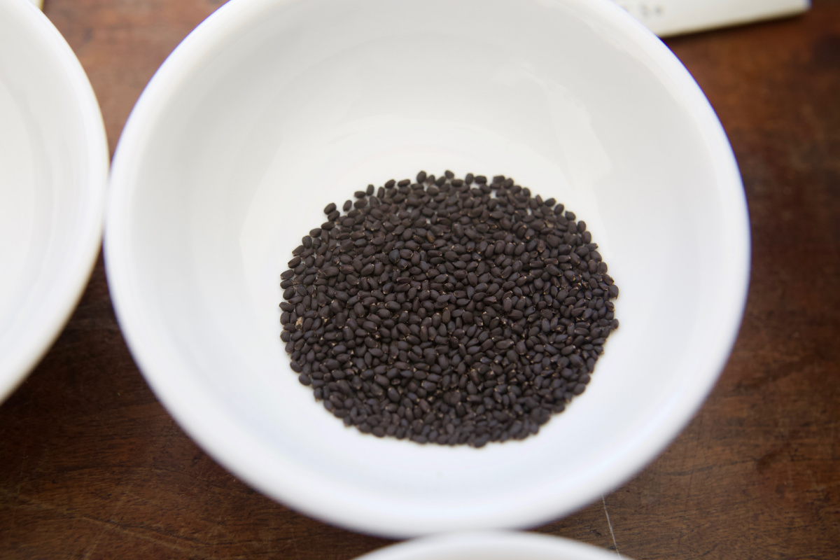 seeds in a white bowl ready for seed scarification