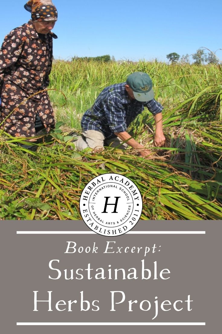 Book Excerpt: Sustainable Herbs Project | Herbal Academy | Learn about the Sustainable Herbs Project in this excerpt from Ann Armbrecht's new book, "The Business of Botanicals".