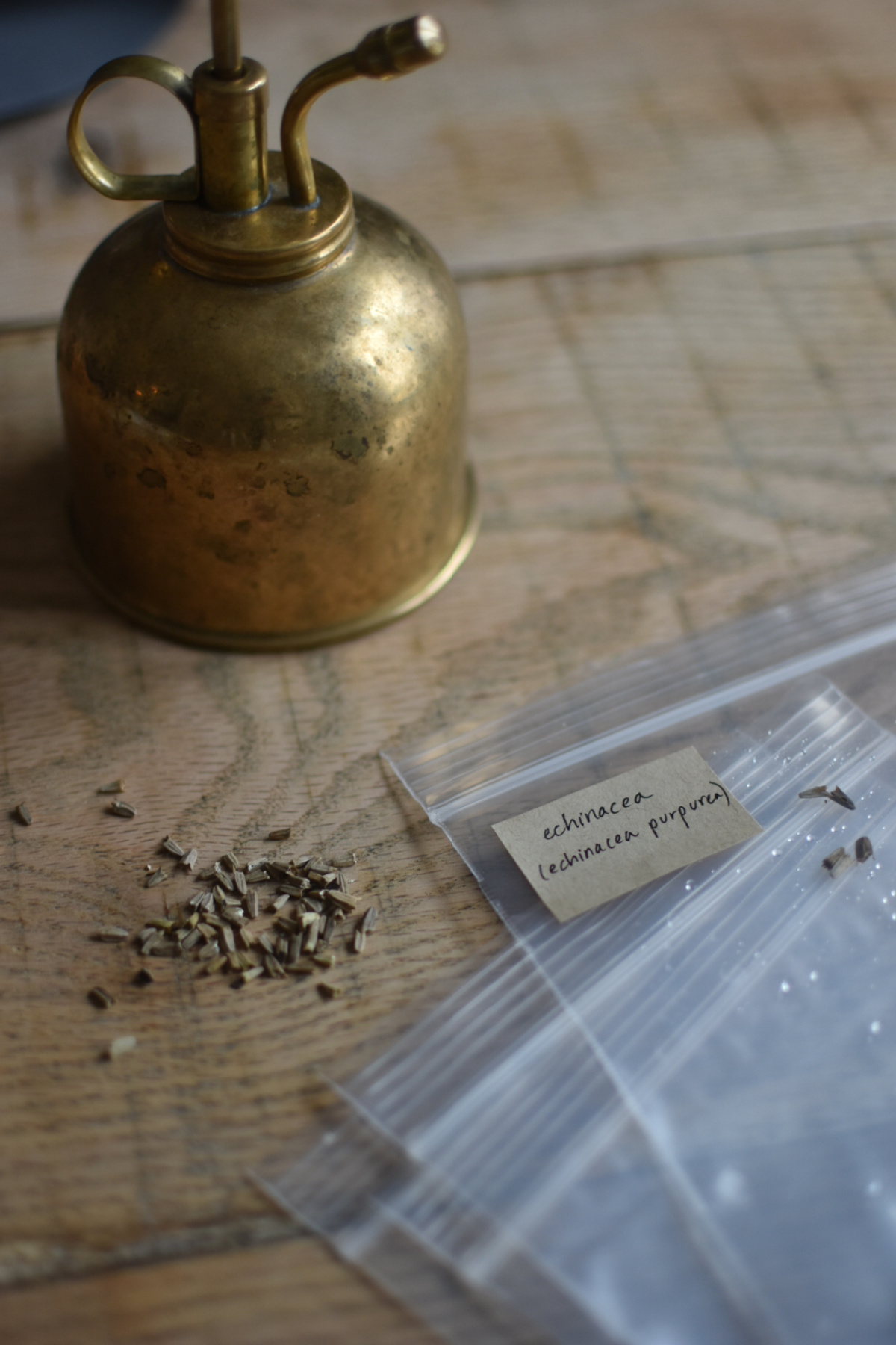 Seeds on a table ready for seed soaking