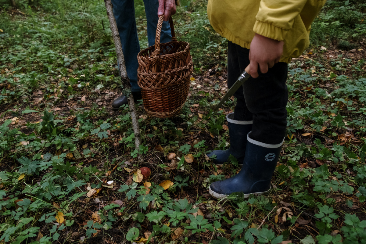 adult and child foraging in the woods