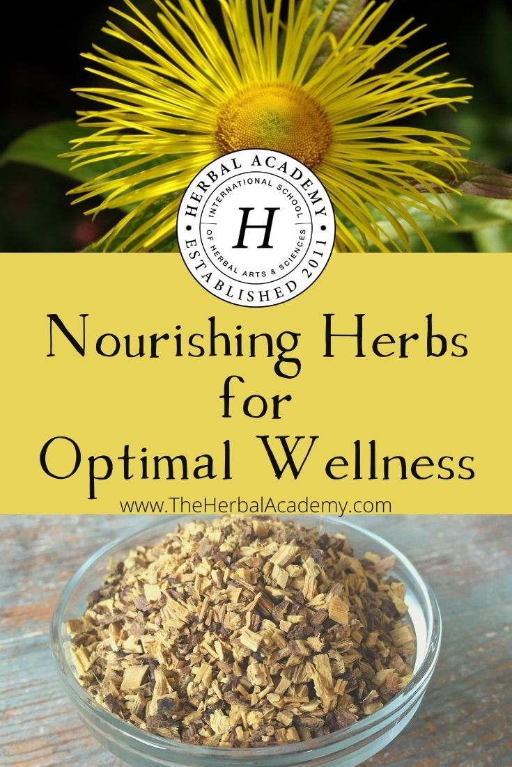 Nourishing Herbs for Optimal Wellness | Herbal Academy | If you are looking to support your overall wellness, immunity, and vitality, consider exploring these nourishing herbs for your body.