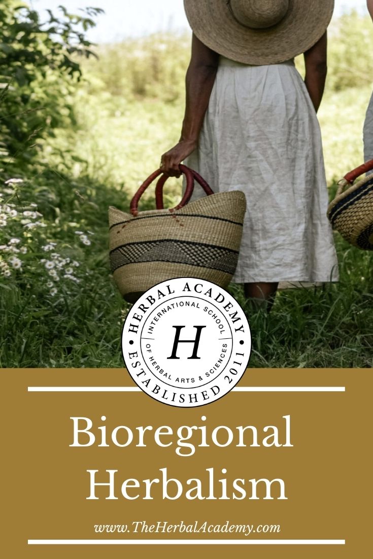 Bioregional Herbalism | Herbal Academy | Bioregional herbalism isn’t about restricting herbal practice, but about opening up to the full possibility of our relationship with plants.