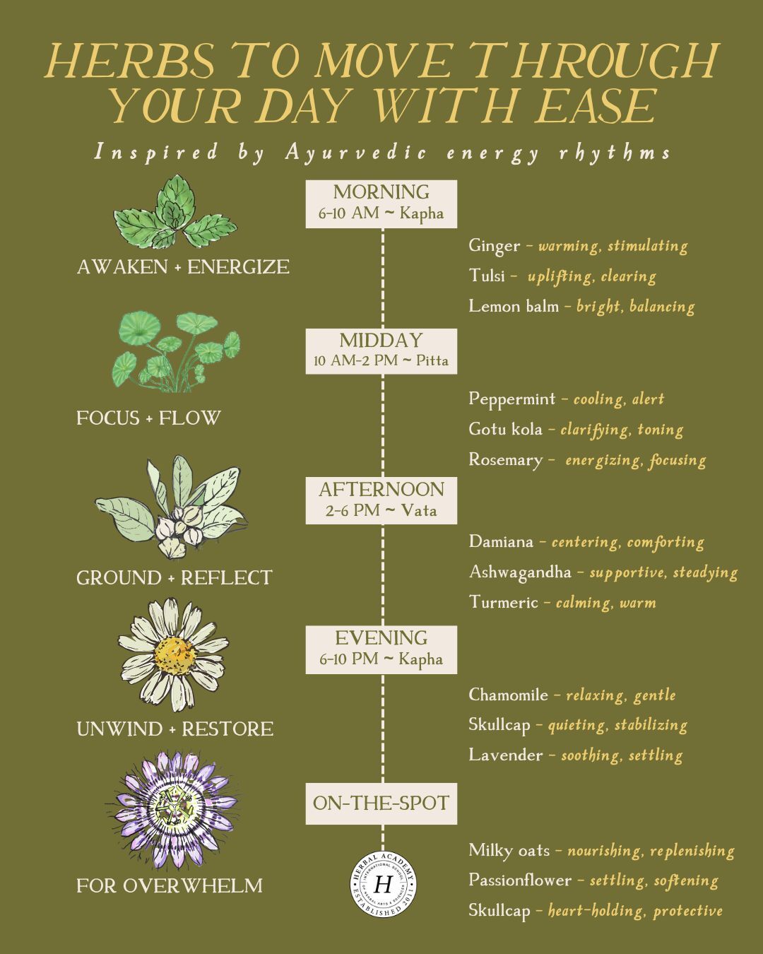 This article will discuss how to schedule your day based on your natural energy levels—and how Ayurveda can inform those decisions.