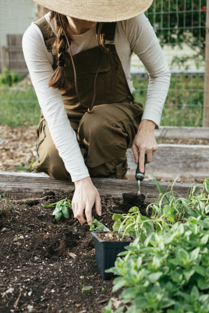 How And Why To Start An Herb Garden – Herbal Academy