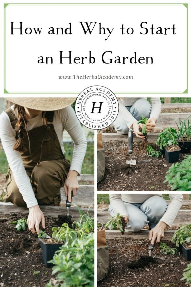 How and Why To Start an Herb Garden – Herbal Academy