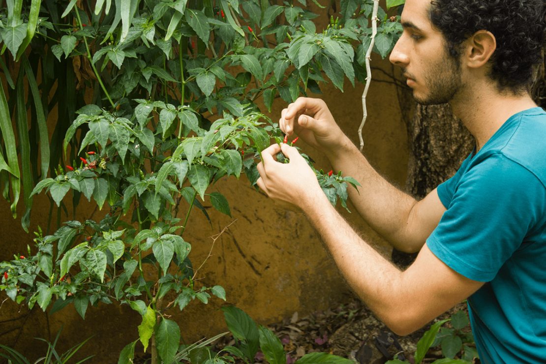 Herbal Academy Student Feature: Eduardo Yunen (@eyunen) | Herbal Academy | This tenth installment of our Student Feature Series features herbalist Eduardo Yunén, who enjoys permaculture practices and wild foraging.