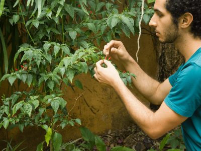 Herbal Academy Student Feature: Eduardo Yunen (@eyunen) | Herbal Academy | This tenth installment of our Student Feature Series features herbalist Eduardo Yunén, who enjoys permaculture practices and wild foraging.