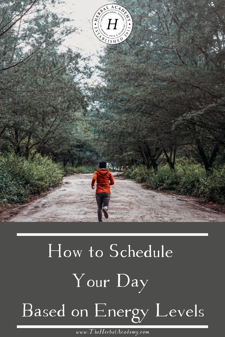 How to Schedule Your Day Based on Energy Levels | Herbal Academy | This article will discuss how to schedule your day based on your natural energy levels—and how Ayurveda can inform those decisions.