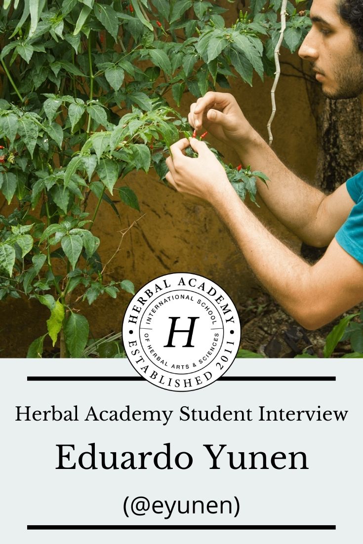 History and Uses of Common Ivy – Herbal Academy