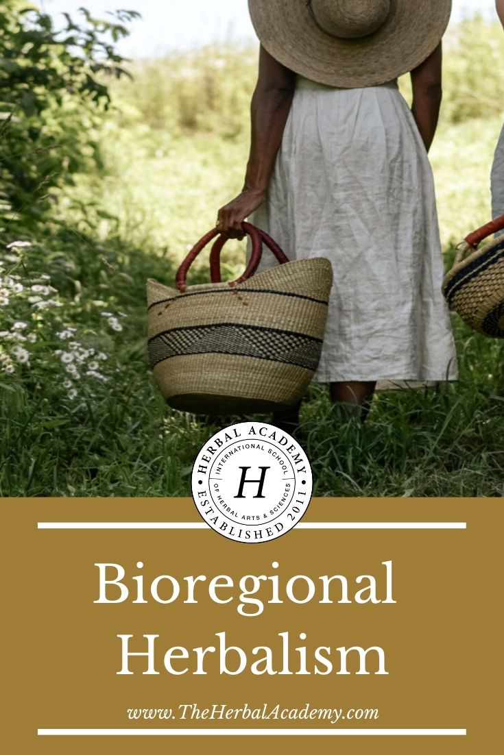 Bioregional Herbalism | Herbal Academy | Bioregional herbalism isn’t about restricting herbal practice, but about opening up to the full possibility of our relationship with plants.
