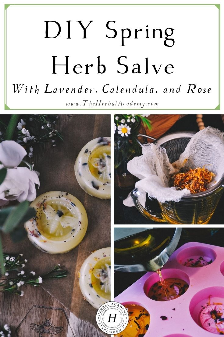 DIY Spring Herb Salve with Lavender, Calendula, and Rose | Herbal Academy | This spring-inspired herb salve recipe is perfect for dry hands, a rash, a small cut, chapped lips, and even burns.