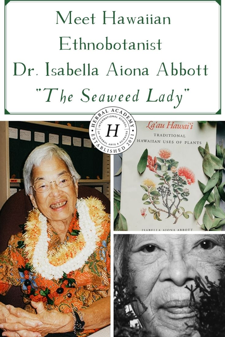 Meet Hawaiian Ethnobotanist Dr. Isabella Aiona Abbott “The Seaweed Lady” | Herbal Academy | Isabella Aiona Abbott, the seaweed lady, was a botanist who worked at preserving Native Hawaiians’ knowledge of seaweeds and plant uses.