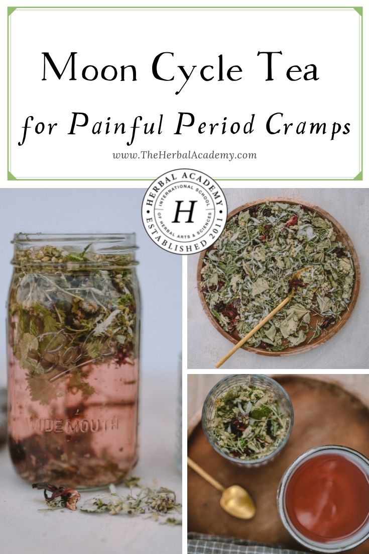 Moon Cycle Tea for Painful Period Cramps | Herbal Academy | Painful period cramps may be common, but this Moon Cycle Tea may be just the thing to help balance the menstrual cycle and alleviate pain.
