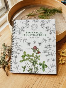 Botanical Illustrations Workbook – Coloring Book & Monographs