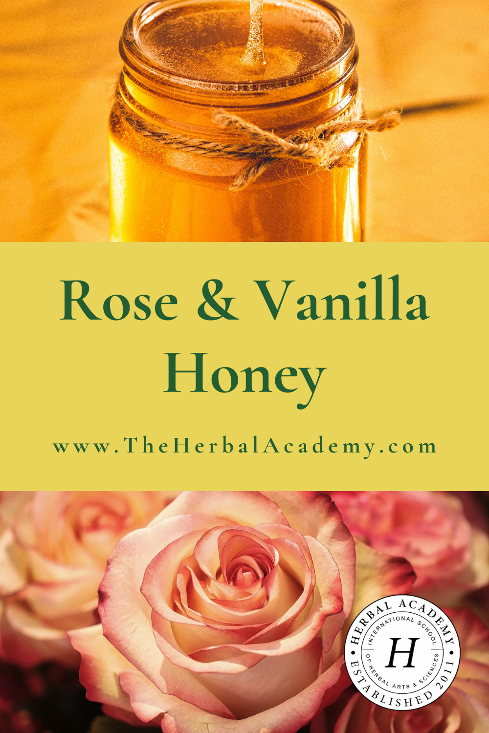 Rose and Vanilla Honey Recipe | Herbal Academy | This simple rose and vanilla honey is a wonderful gift idea for someone you love and is sure to be a hit to the heart.