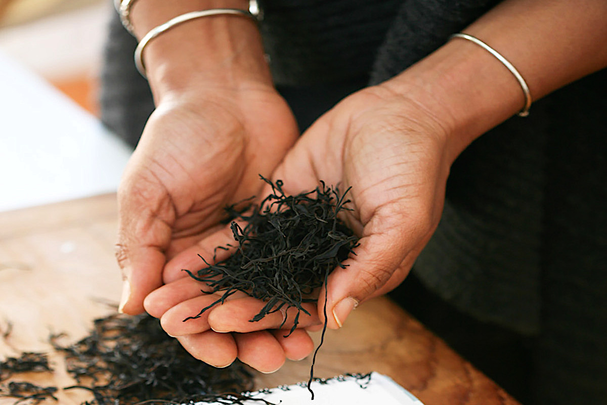 hands holding dried seaweed