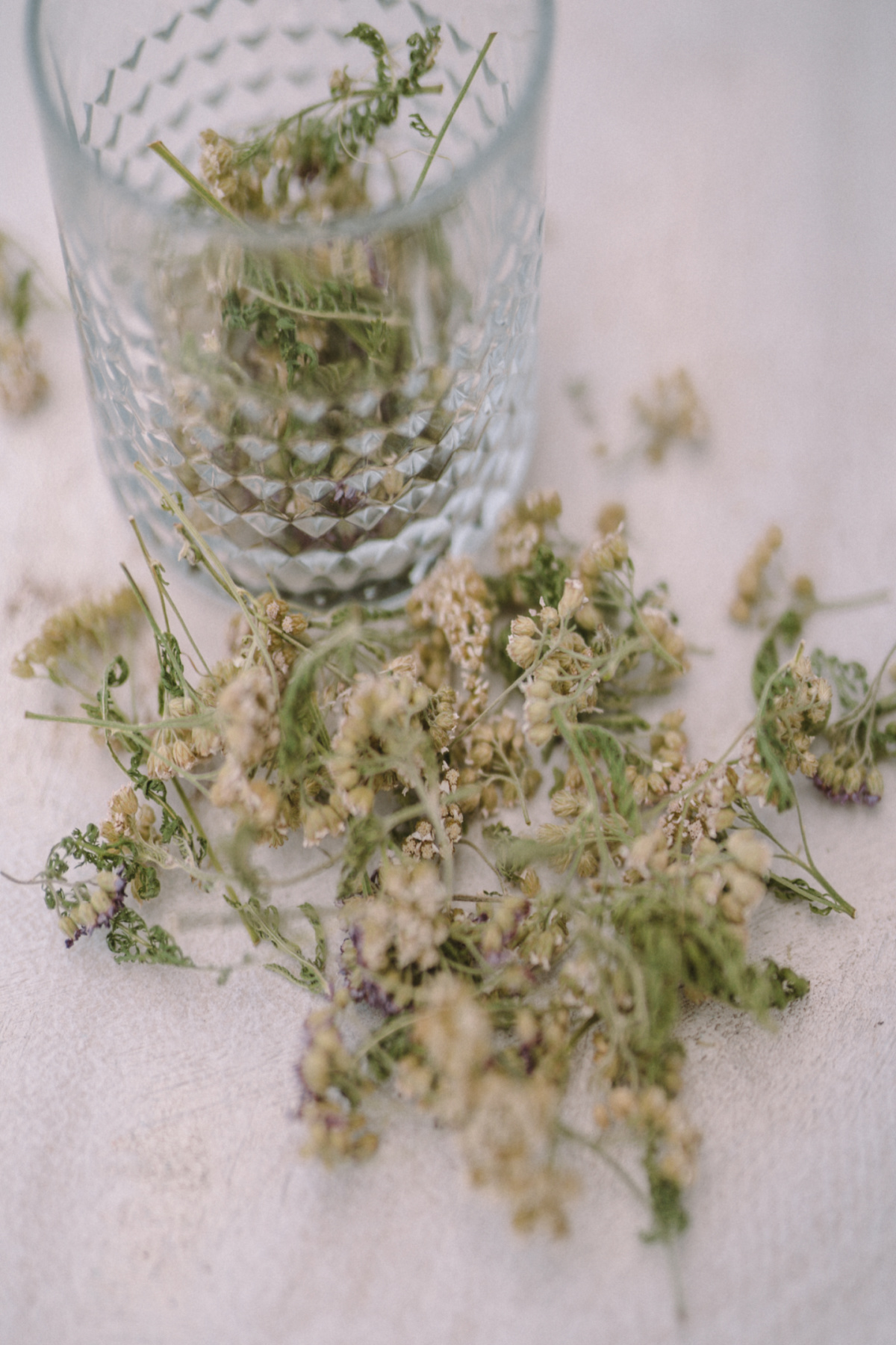 dried yarrow leaves in a glass and scattered on a table