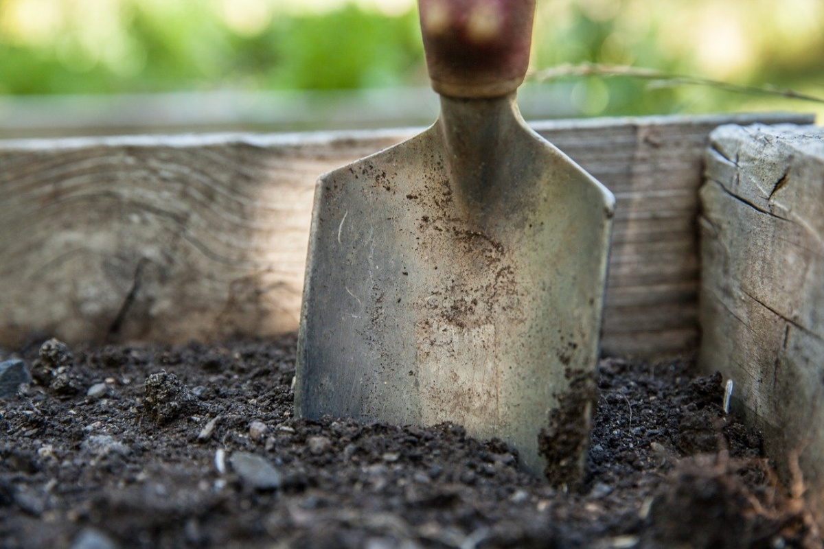 shovel in dirt 