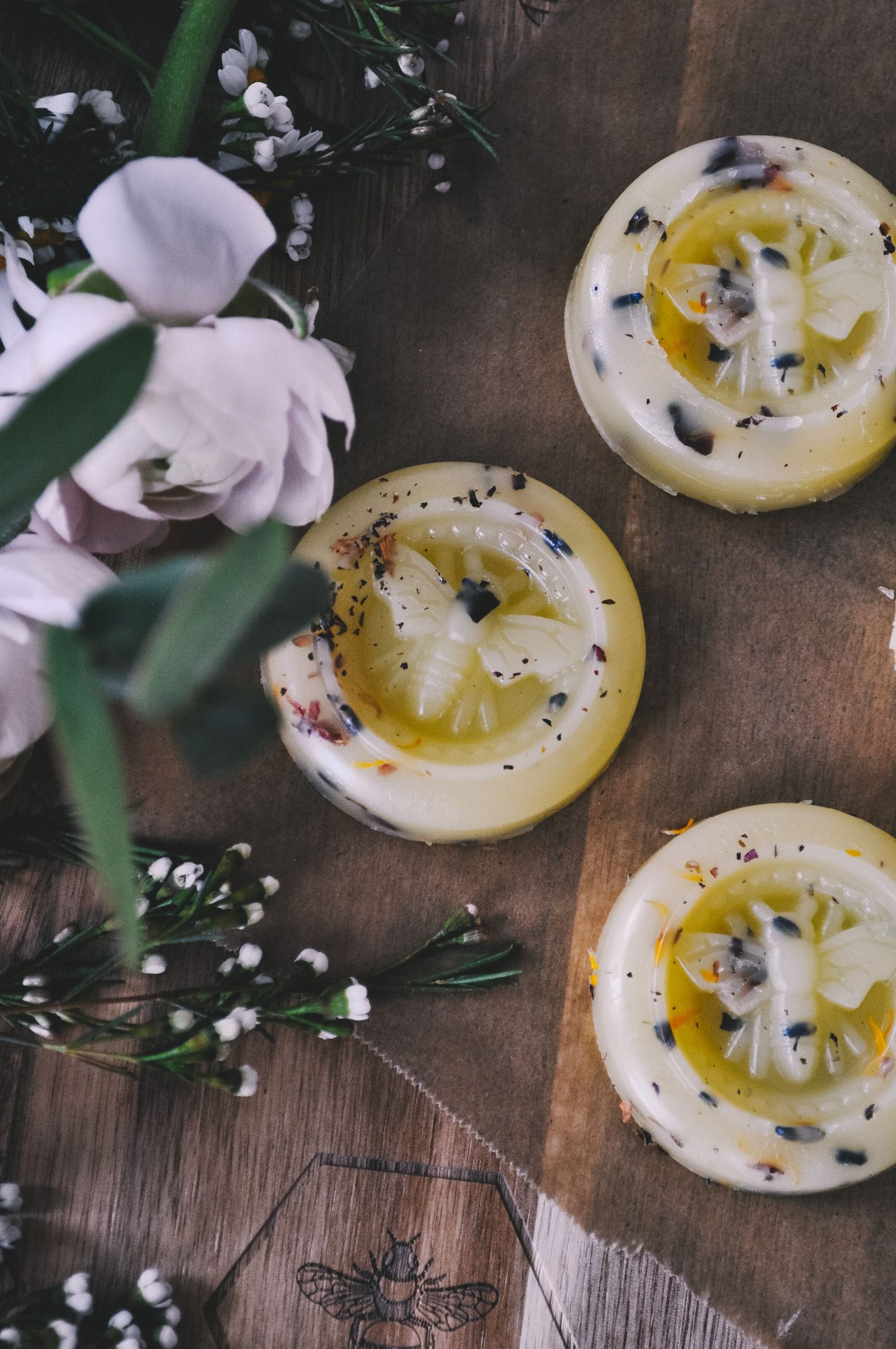 round bars of herb salve