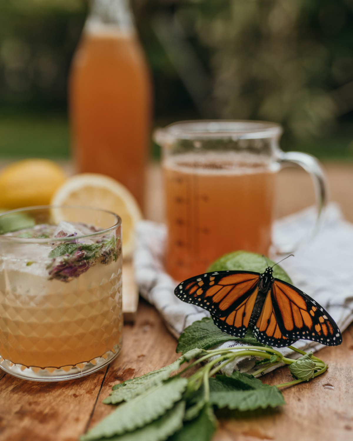 ingredients to make lavender-lemon balm lemonade