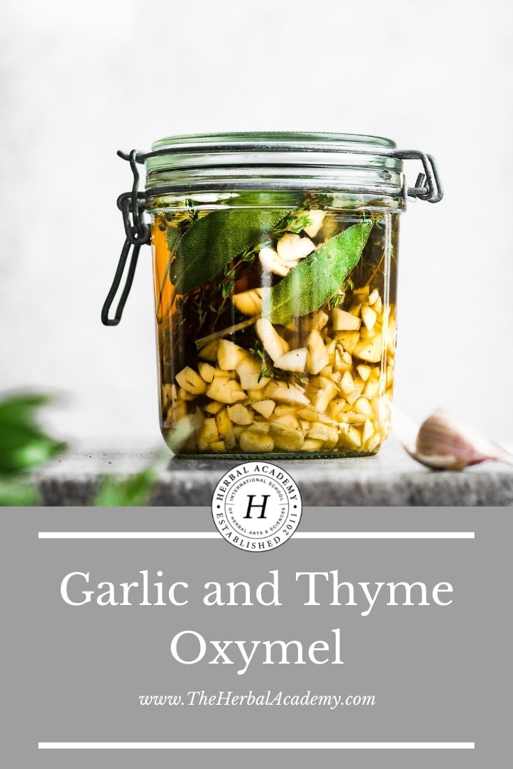 Garlic and Thyme Oxymel | Herbal Academy | This Garlic and Thyme Oxymel is easy to make, delicious, and perfect for times when you need a little extra respiratory or immune support.