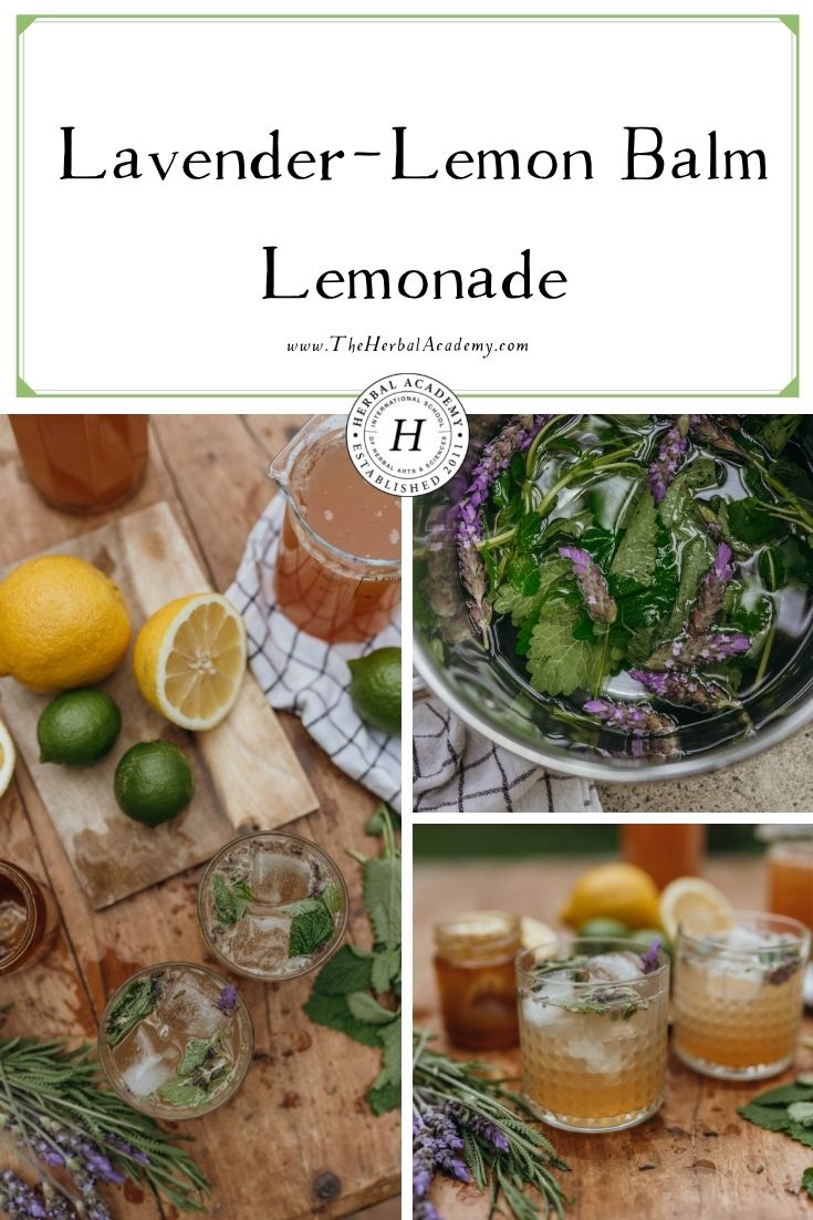 Lemonade Recipe - Herbs & Flour