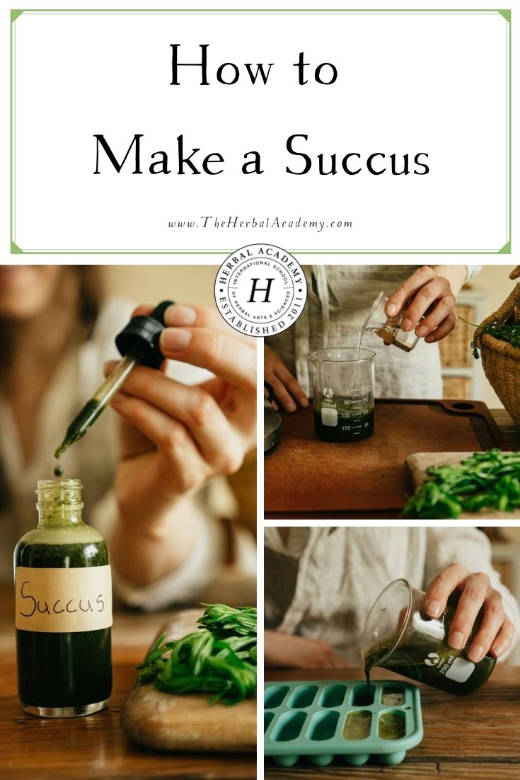 How to Make a Succus | Herbal Academy | Learn how to make a succus as a useful solution for preserving the freshly-expressed juice of a plant into a manageable storage supply.