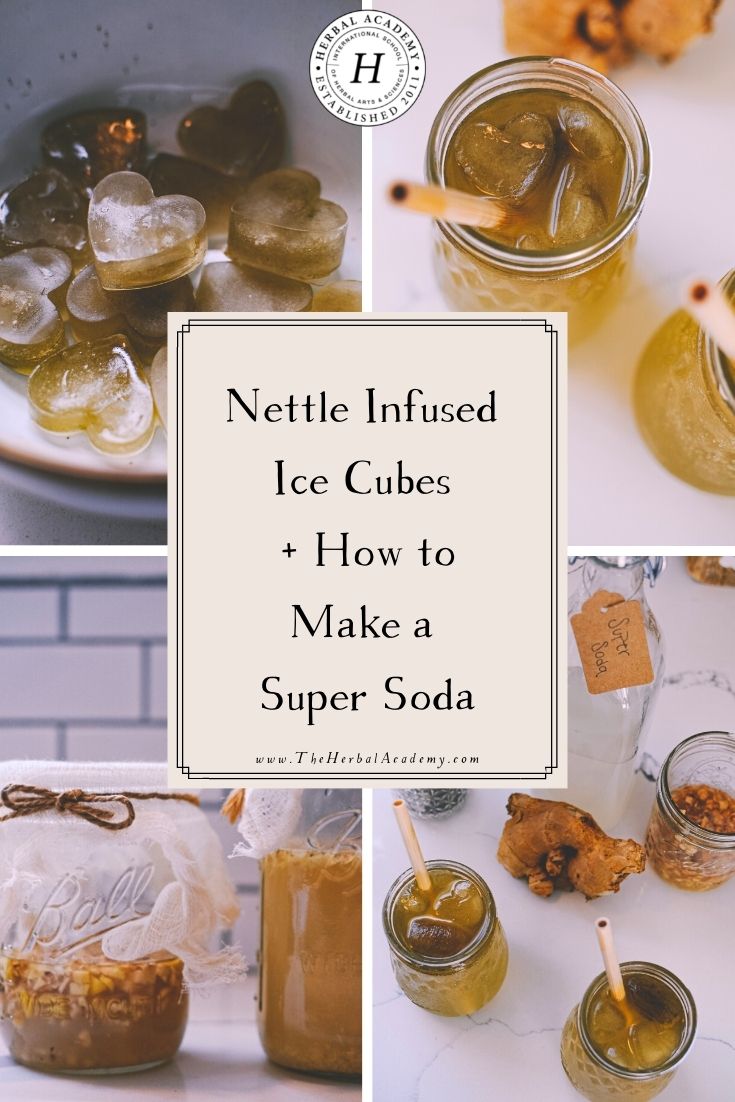 Nettle Infused Ice Cubes + How to Make a Super Soda | Herbal Academy | Just a few ingredients is all you need to enjoy a refreshing drink without the unwanted additives. You can make your very own super soda!