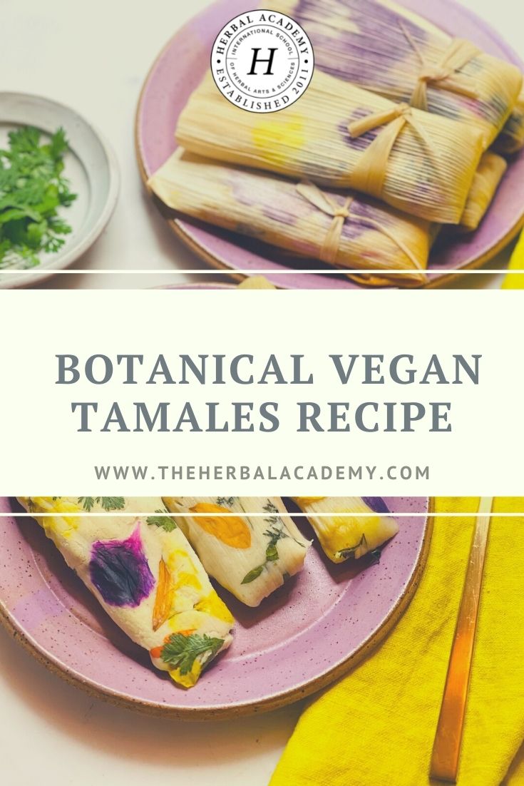 Botanical Vegan Tamales Recipe | Herbal Academy | This vegan tamales recipe is a fun twist on traditional tamales. The edible flower colors appear to be painted on the masa after steaming.