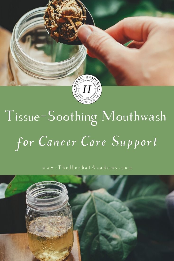 Tissue-Soothing Mouthwash for Cancer Care Support | Herbal Academy | This tissue-soothing mouthwash is a simple preparation that can be used as part of a holistic cancer care routine.