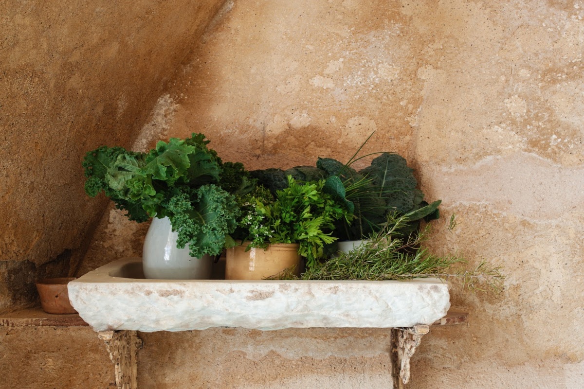 wild greens growing in pots