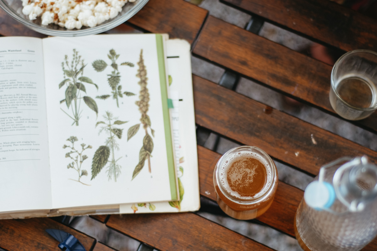 How to make herbal fermented drinks at home – The Craft of Herbal Fermentation Course 