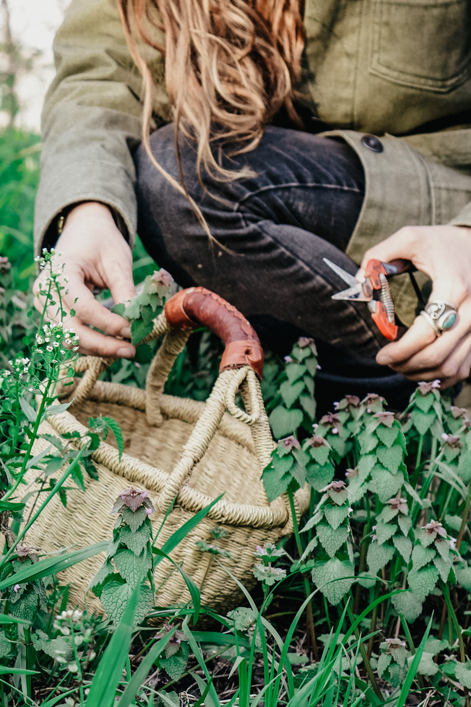 Herbal Academy's The Foraging Course – Learn how to wildcraft safely