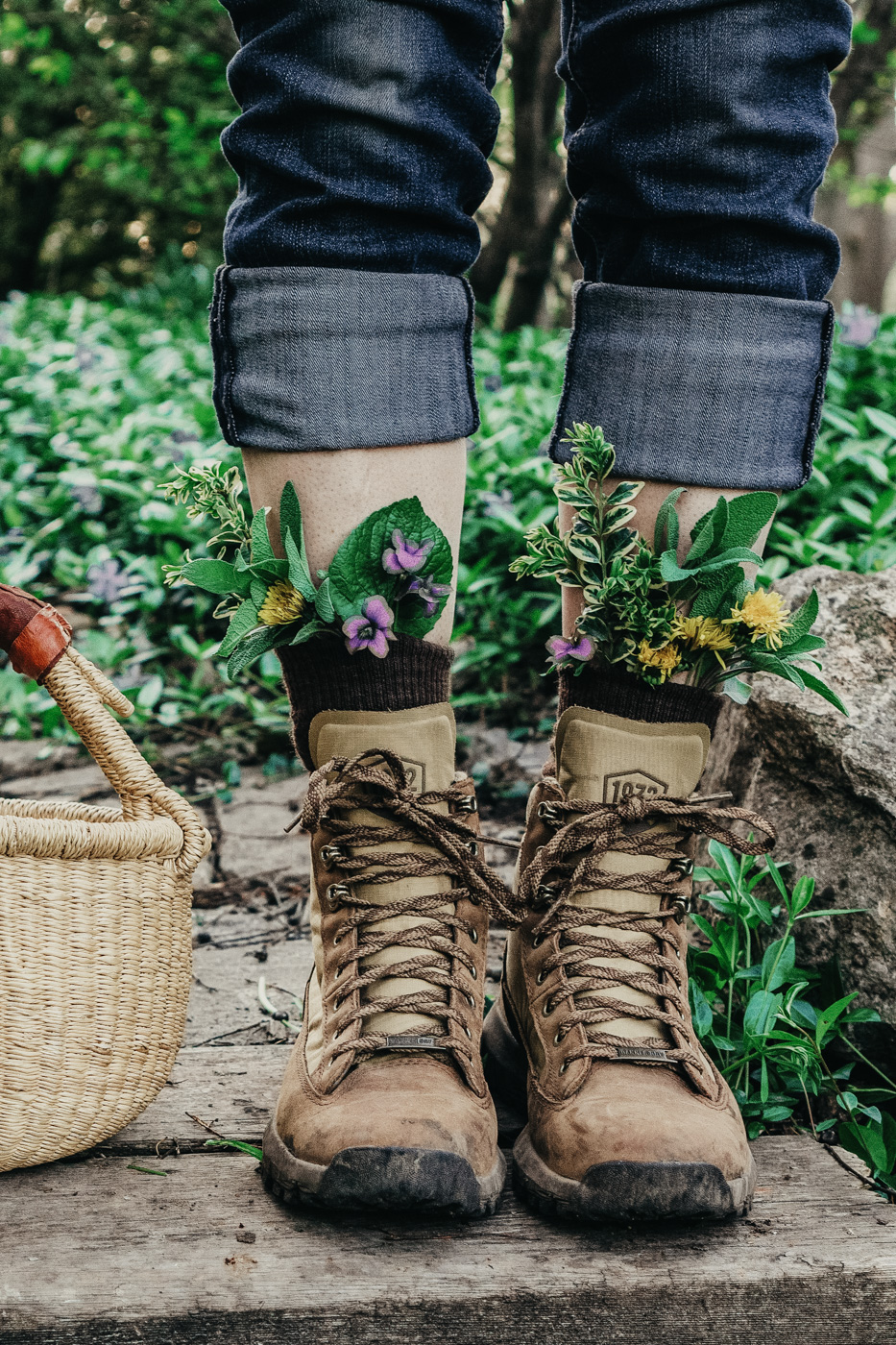 Herbal Academy's The Foraging Course – Learn how to wildcraft safely