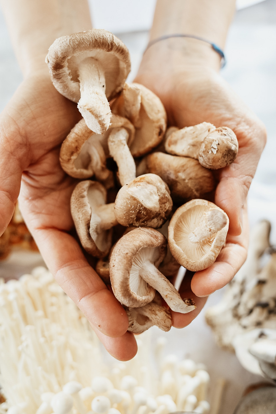 THE Mushroom Course by Herbal Academy - mushroom forage