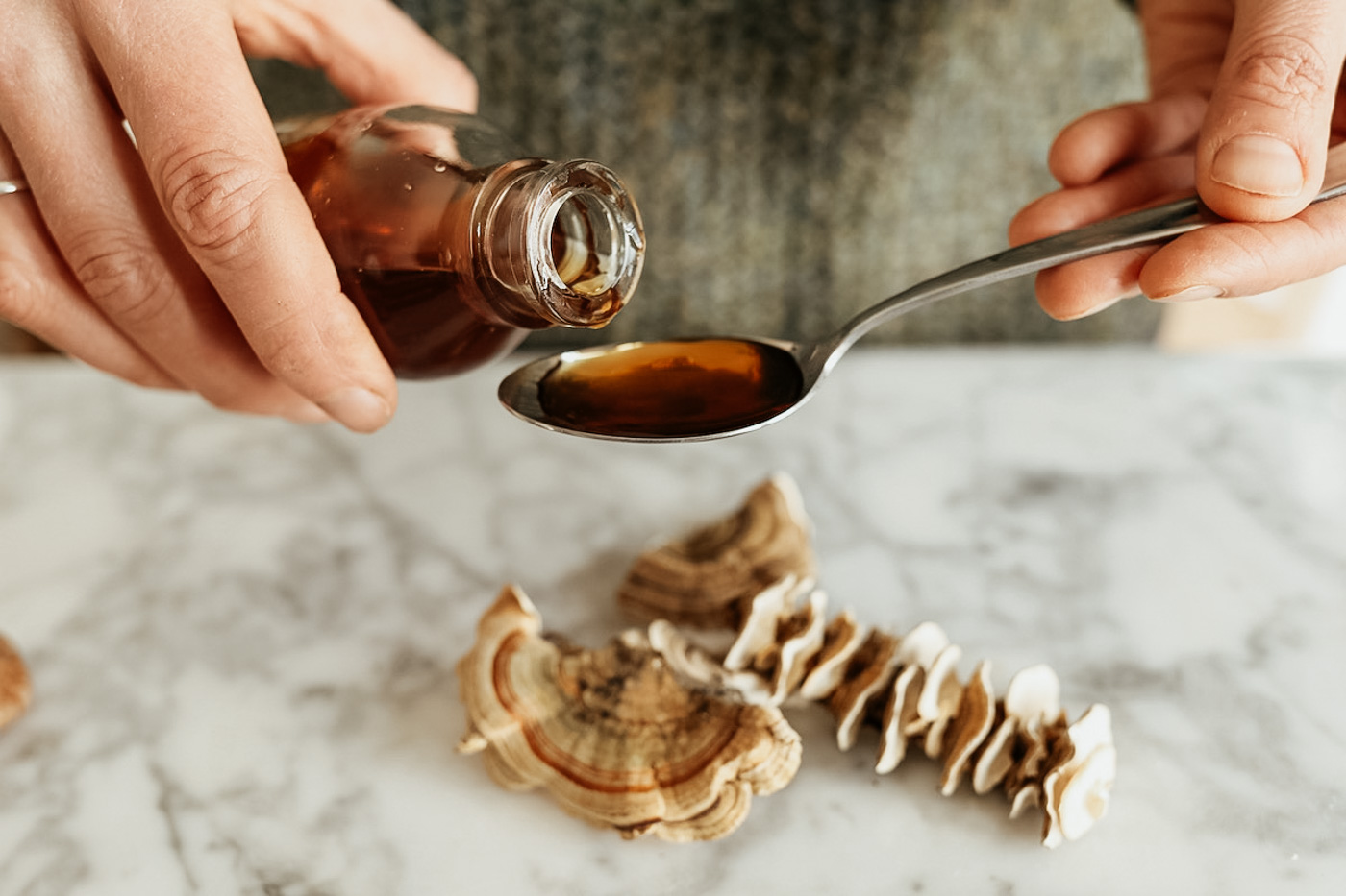 THE Mushroom Course by Herbal Academy - mushroom remedies in herbalism