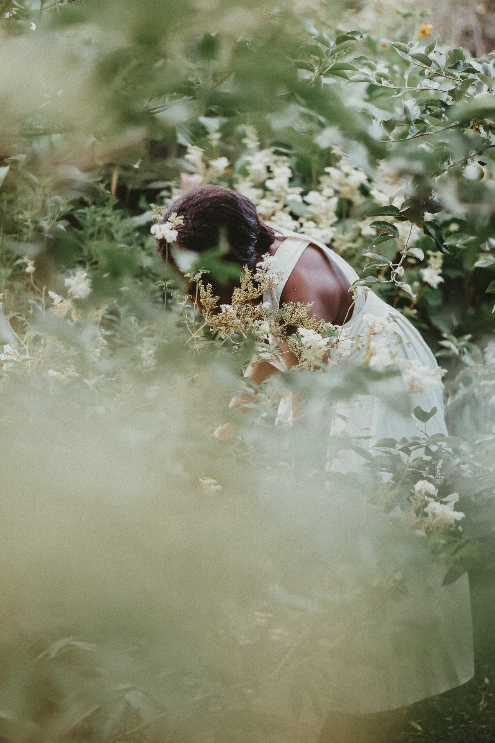 Introductory Herbal Course - Foraging for beginners