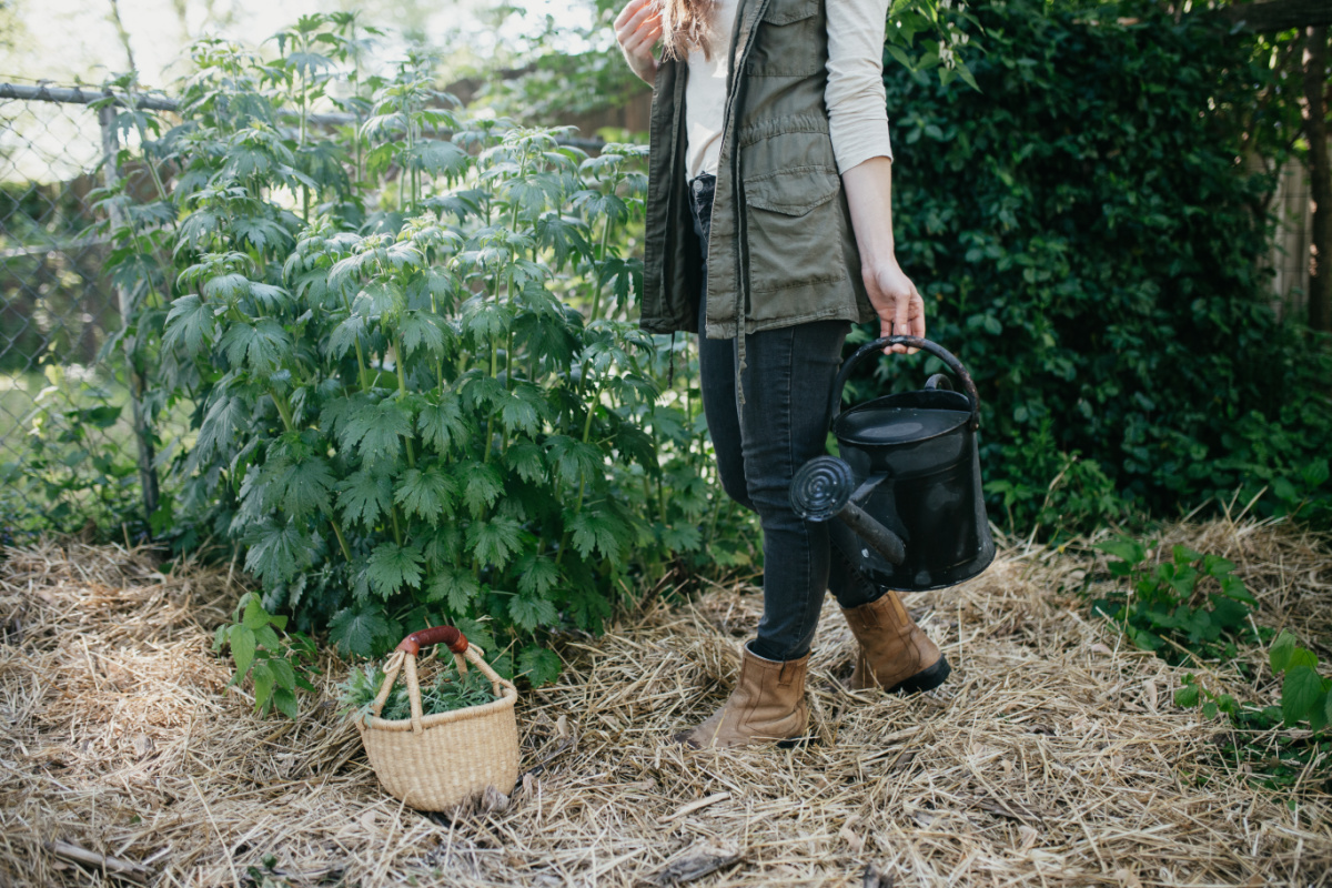 woman standing next to motherwort