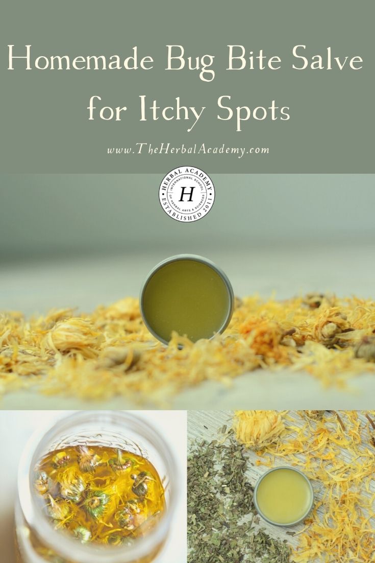 Homemade Bug Bite Salve for Itchy Spots | Herbal Academy | With the right herbal allies, you can create this homemade bug bite salve to use through the last days of summer and the cooler days of fall.